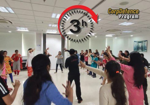 3-hour corporate self defence seminar