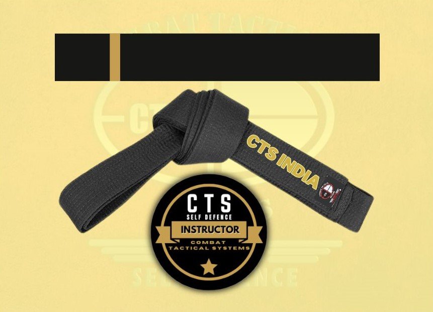 CTS Instructor Level -1 image