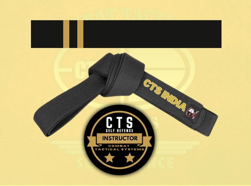 CTS Instructor Level -2 image