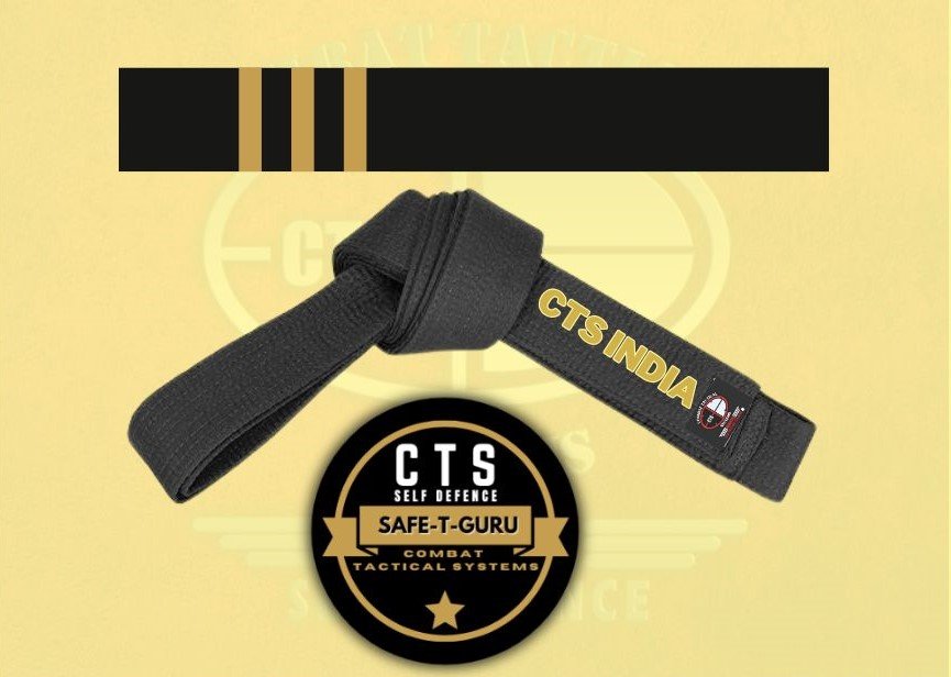 CTS Instructor Level -3 image