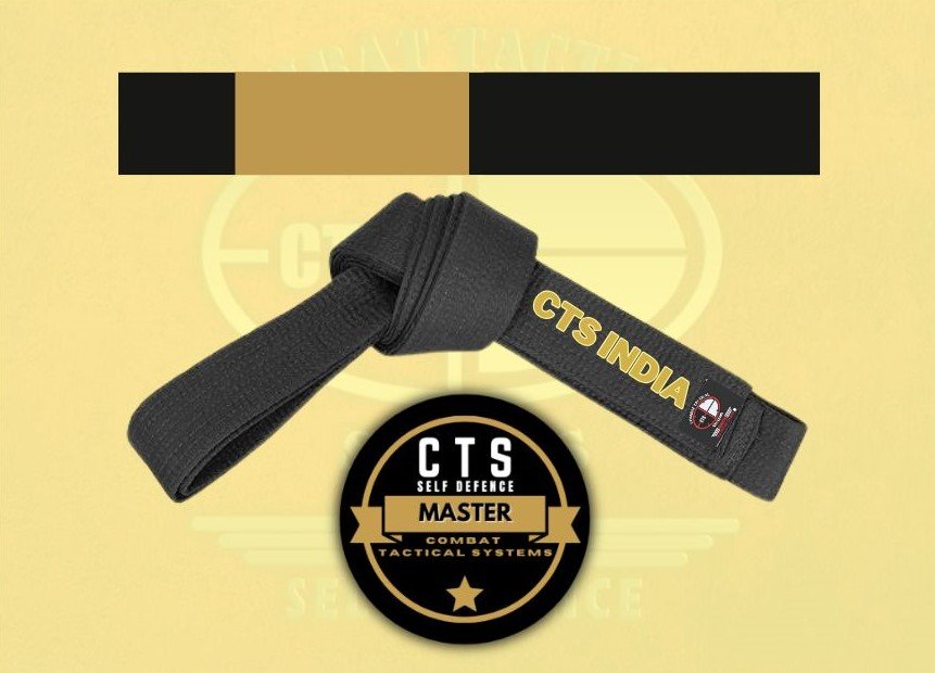 CTS Instructor Level -5 image