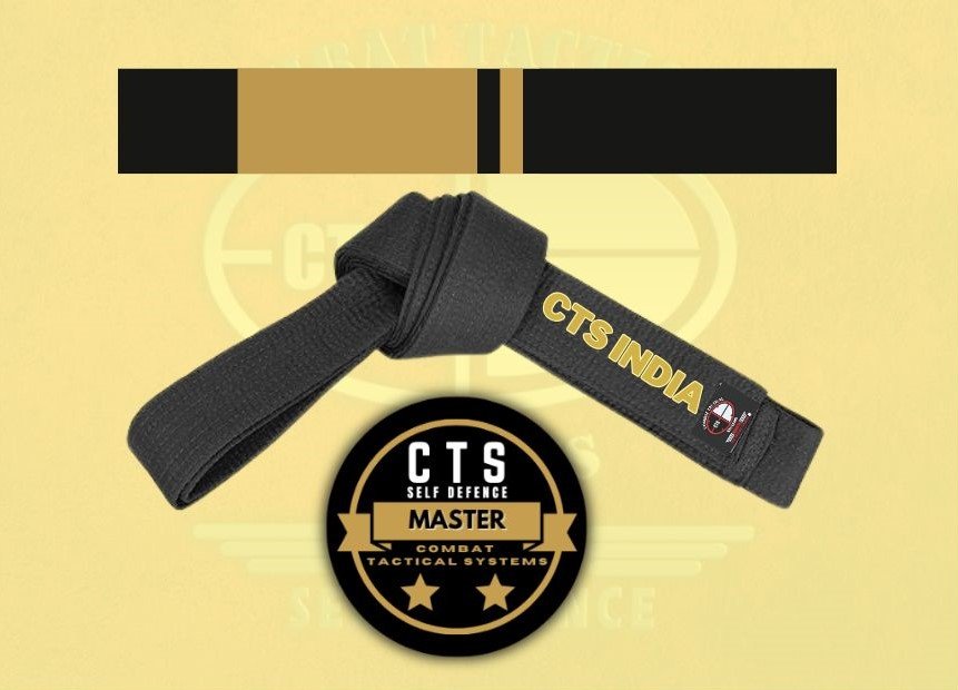 CTS Instructor Level -6 image