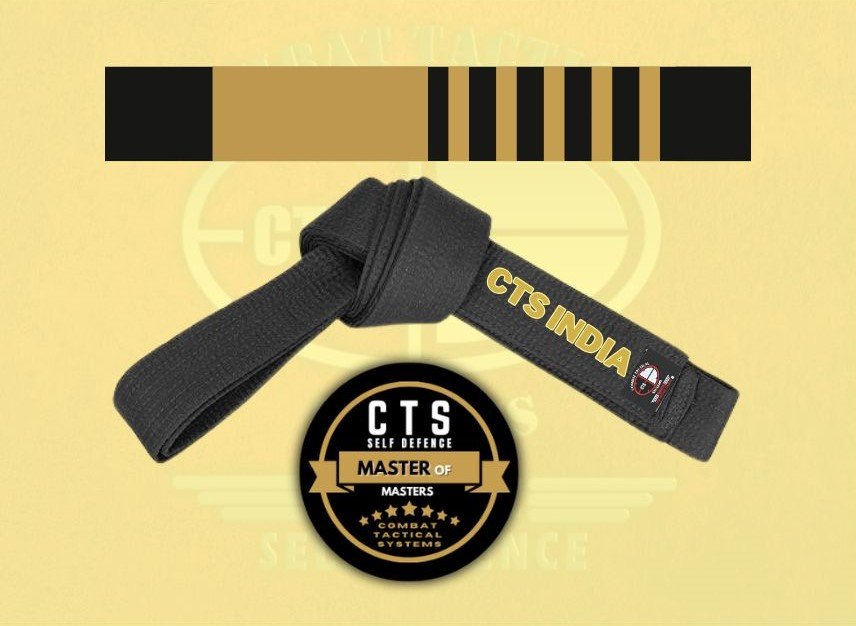 CTS Instructor Level -10 image