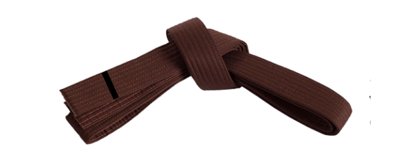 CTS Brown Belt stripe image