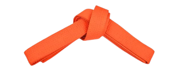 CTS Orange belt image