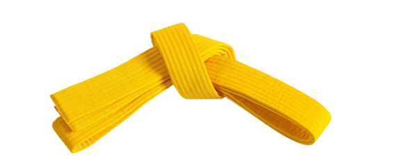 CTS Yellow Belt image